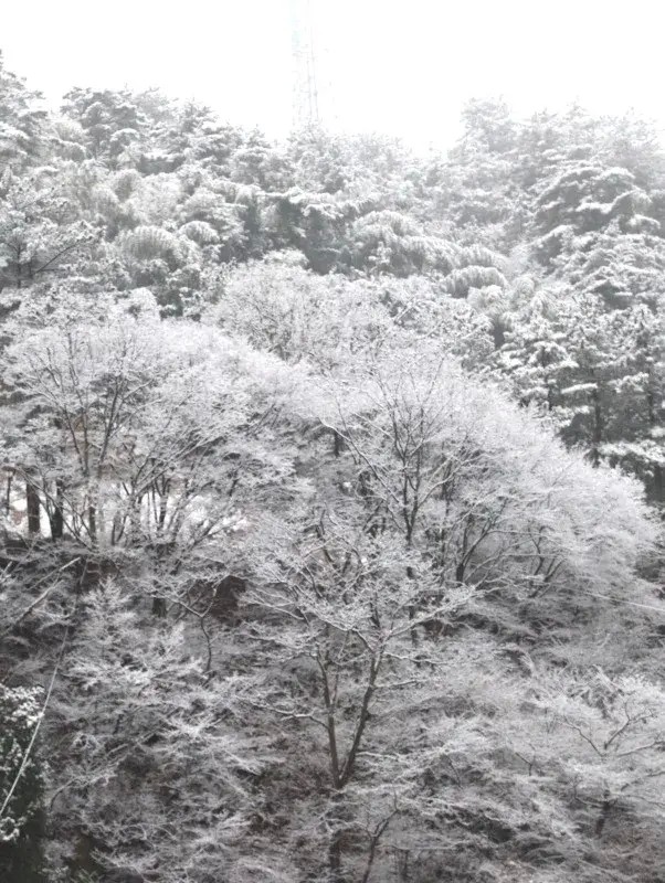 湖北省内唯一可以滑雪泡温泉的宝藏小县城一到冬天简直美翻